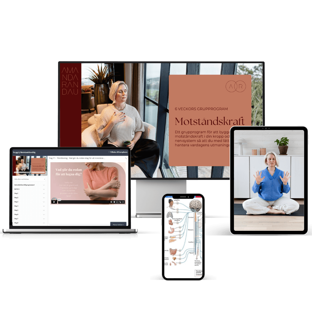 Motståndskraft program mockup